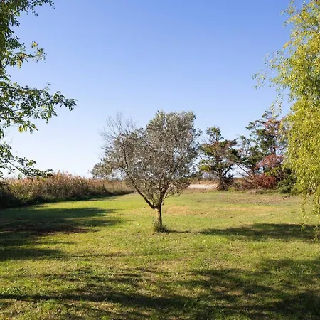 Mas Provencal De 120m2 En Camargue, Avec Piscine Et Parking Inclus, Ideal Pour Des アルル