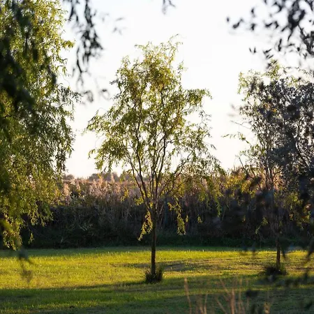 Mas Provencal De 120m2 En Camargue, Avec Piscine Et Parking Inclus, Ideal Pour Des * アルル